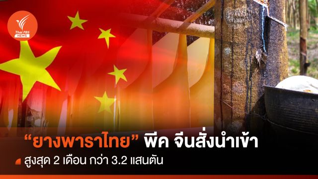 "ยางพาราไทย" พีค จีนสั่งนำเข้าสูงสุด 2 เดือน กว่า 3.2 แสนตัน