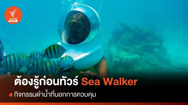 ต้องรู้ก่อนทัวร์ "ซีวอล์กเกอร์" กิจกรรมดำน้ำนอกการควบคุม