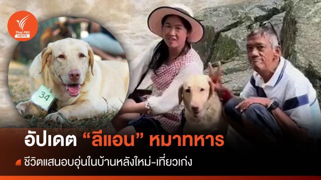 อัปเดตชีวิต "ลีแอน" หมาประมูลกับบ้านใหม่แสนอบอุ่น