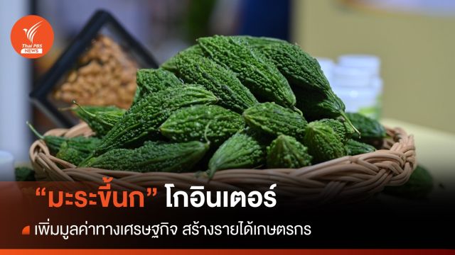 "มะระขี้นก" โกอินเตอร์ เพิ่มมูลค่าเศรษฐกิจ สร้างรายได้เกษตรกร