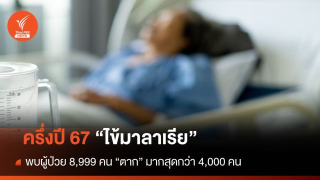 ครึ่งปี 67 พบผู้ป่วย "ไข้มาลาเรีย" 8,999 คน "ตาก" มากสุด  