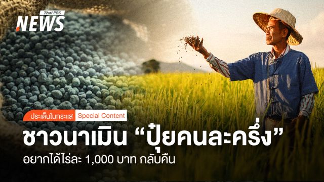 ชาวนาเมิน โครงการ “ปุ๋ยคนละครึ่ง” อยากได้ไร่ละพันกลับคืน