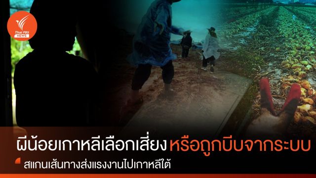 ผีน้อยเกาหลีเลือกเสี่ยงหรือถูกบีบจากระบบ สแกนเส้นทางส่งแรงงานไปเกาหลีใต้