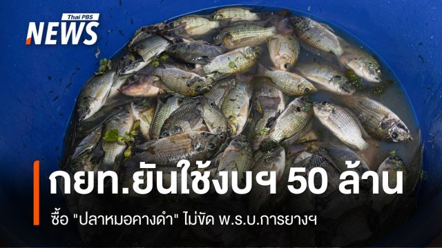 กยท.ยันใช้ 50 ล้านซื้อ "ปลาหมอคางดำ" ไม่ขัด พ.ร.บ.การยางฯ