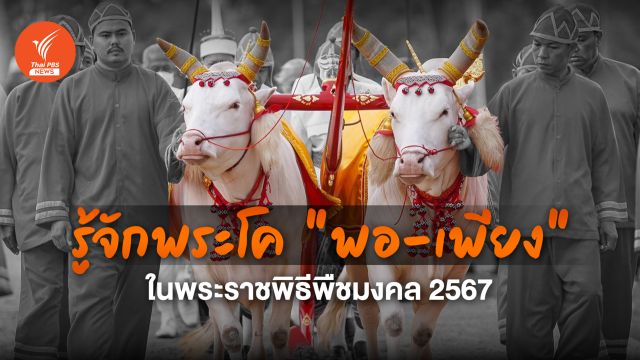 รู้จักพระโค "พอ-เพียง" พระโคแรกนาขวัญ ปี 2567