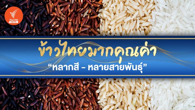 เรื่องน่ารู้ "ข้าวไทย" "หลากสี - หลายสายพันธุ์" เต็มไปด้วยคุณค่า  
