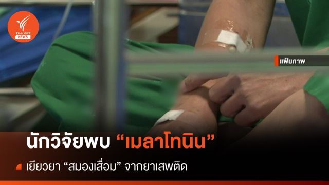  นักวิจัยไทยพบ "เมลาโทนิน" เยียวยา "สมองเสื่อม" จากยาเสพติด 