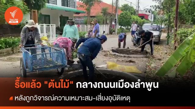 รื้อแล้ว "ต้นไม้" กลางถนนเมืองลำพูน 