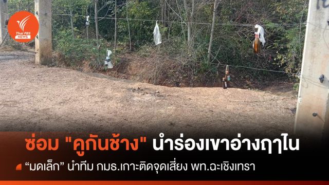 "มดเล็ก" เกาะติด "คูกันช้าง" นำร่องป่าอ่างฤๅไน160 กม. 