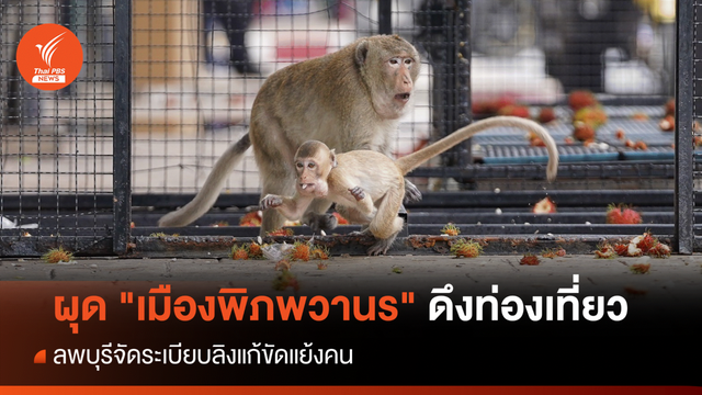 จัดระเบียบลิงลพบุรีผุด "เมืองพิภพวานร" ดึงท่องเที่ยวฟื้นศก.