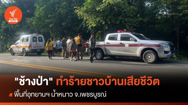 "ช้างป่าน้ำหนาว" ทำร้ายชาวบ้านเสียชีวิต 