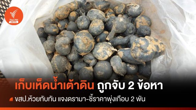 มีคำตอบ! ชาวบ้านถูกจับ 2 ข้อหา"เก็บเห็ดน้ำเต้าดิน" ป่าห้วยทับทัน 
