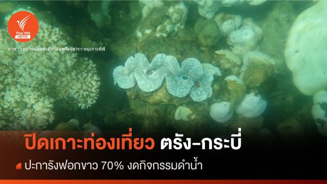 เช็กด่วน! ปิดเกาะท่องเที่ยว "กระบี่-ตรัง" ฟื้นฟูปะการังฟอกขาว