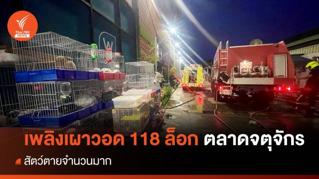 ไฟไหม้ "ตลาดนัดจตุจักร"เผาวอด 118 ล็อก - สัตว์ตายจำนวนมาก 