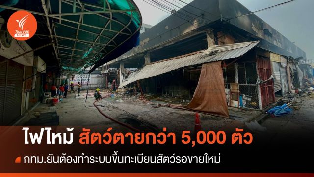 ไฟไหม้ตลาดสัตว์ตายกว่า 5,000 ตัว กทม.เข้มผู้ค้าต้องทำใบอนุญาต