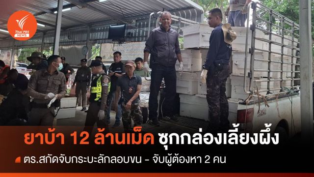 จับกระบะลักลอบขนยาบ้า 12 ล้านเม็ดซุกกล่องเลี้ยงผึ้ง