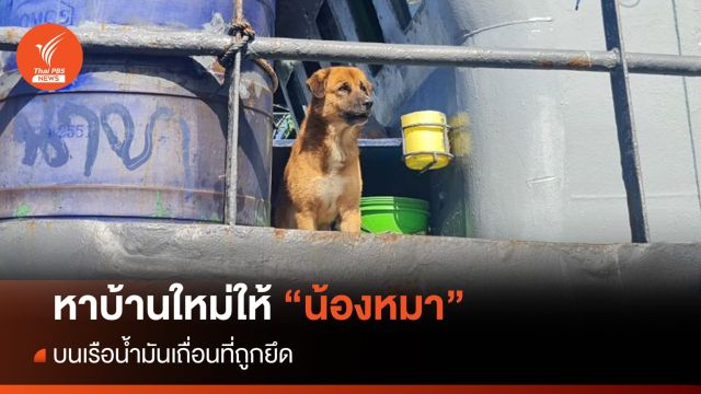 ตำรวจน้ำหาบ้านใหม่ให้ "น้องหมา" บนเรือน้ำมันเถื่อน