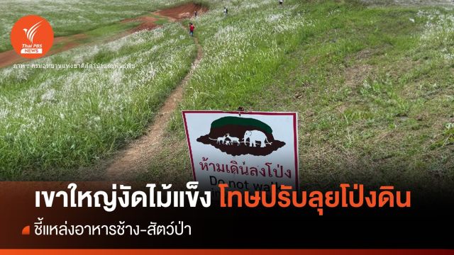 เหตุผลห้ามลุย "โป่งดิน" เขาใหญ่เตรียมงัดไม้แข็งปรับ นทท.  