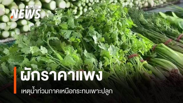 น้ำท่วมเหนือกระทบปลูกผัก ทำขาดตลาด-ราคาแพงขึ้น