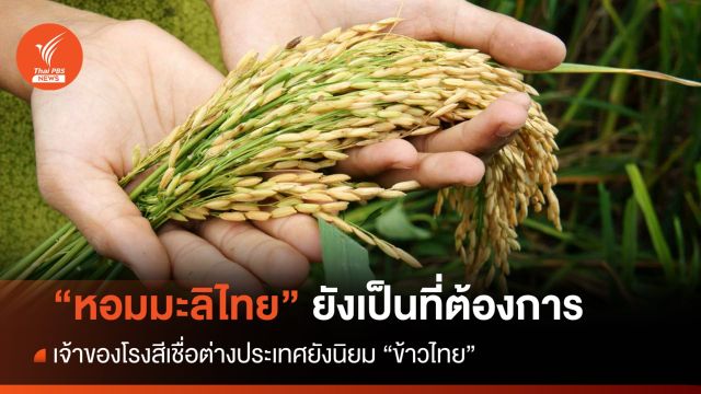 เจ้าของโรงสีเชื่อ ตลาดต่างประเทศยังนิยม "ข้าวหอมมะลิไทย"