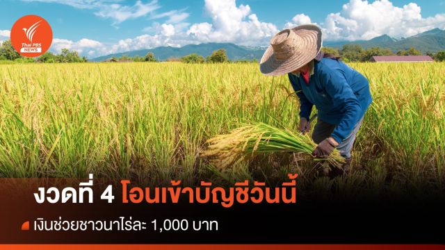 เงินช่วยชาวนาไร่ละ 1,000 บาท งวดที่ 4 โอนเข้าบัญชีวันนี้