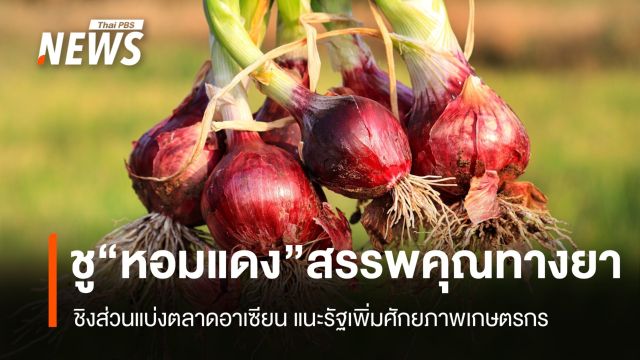 ดัน “หอมแดง” ชิงส่วนแบ่งตลาดอาเซียน ใช้สรรพคุณทางยาชูโรง