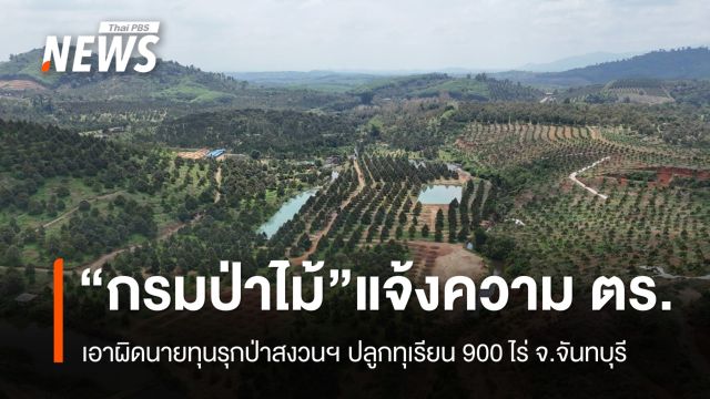 "กรมป่าไม้" แจ้งความ ตร.เอาผิดนายทุนรุกป่า ปลูกทุเรียนกว่า 900 ไร่ 
