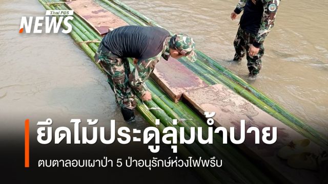 ตัดไม้ประดู่ซุกแพล่องน้ำปาย คุม 5 ป่าอนุรักษ์เสี่ยงไฟป่า