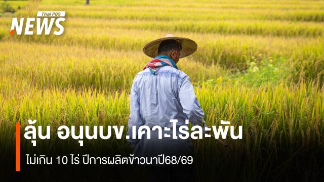 ลุ้น อนุนบข.เคาะไร่ละพัน ไม่เกิน 10 ไร่ ปีการผลิตข้าวนาปี68/69