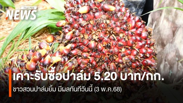 เคาะราคารับซื้อปาล์ม 5.20 บาท/กก. ชาวสวนปาล์มยิ้ม มีผลทันทีวันนี้