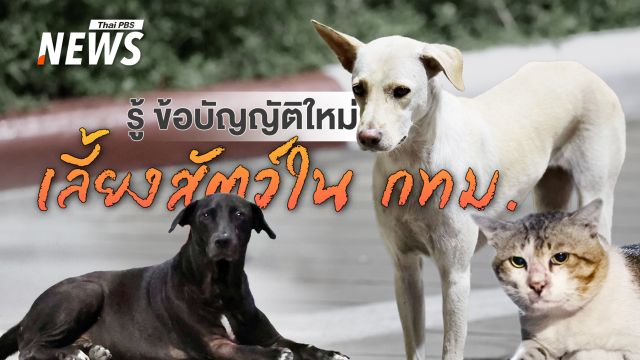 เลี้ยงสัตว์ใน กทม.ต้องรู้ ข้อบัญญัติใหม่ ควบคุมการเลี้ยง-ปล่อยสัตว์ 