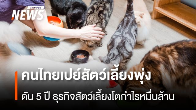  คนไทยเปย์สัตว์เลี้ยงพุ่ง ดัน 5 ปี ธุรกิจสัตว์เลี้ยงโตกำไรหมื่นล้าน 
