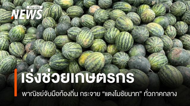 "แตงโมชัยนาท" ราคาตกต่ำ "พาณิชย์" เร่งเชื่อมตลาดช่วยเกษตรกร