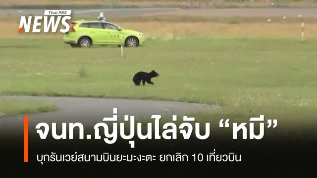 ญี่ปุ่นไล่จับ "หมี" บุกรันเวย์สนามบินยะมะงะตะ ยกเลิก 10 เที่ยวบิน