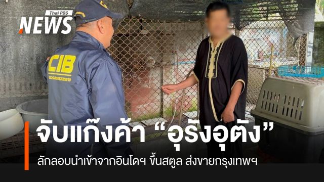 บก.ปทส.จับขบวนการค้า “ลิงอุรังอุตัง” จากอินโดฯ
