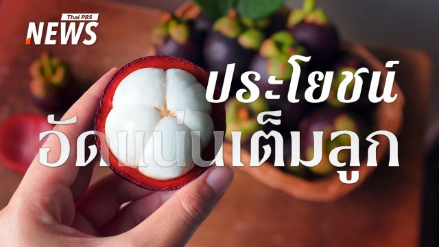 มังคุด ผลไม้ฤทธิ์เย็น หวานชื่นใจ แต่ใครต้องกินอย่างระวัง