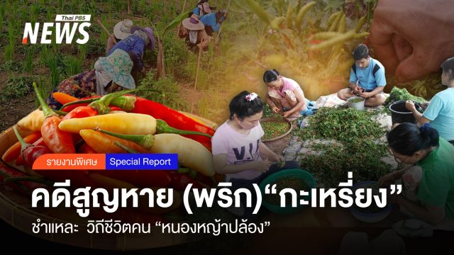 คดีสูญหาย (พริก) "กะเหรี่ยง" ชำแหละวิถีคน "หนองหญ้าปล้อง"