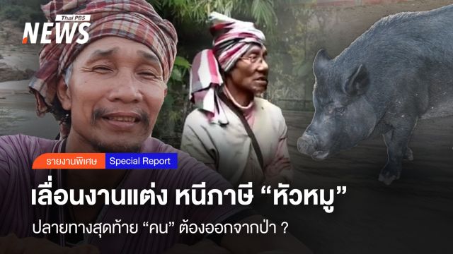 เลื่อนงานแต่ง หนีภาษีหัวหมู ปลายทางสุดท้าย "คน" ต้องออกจากป่า