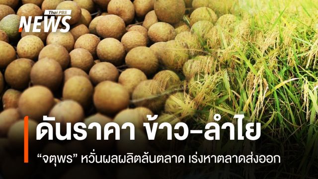 “จตุพร” ดันราคา ข้าว-ลำไย หวั่นผลผลิตล้นตลาด เร่งหาตลาดส่งออก