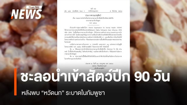 กรมปศุสัตว์ ชะลอนำเข้าสัตว์ปีก จาก "กัมพูชา" เป็นเวลา 90 วัน ป้องกันหวัดนก