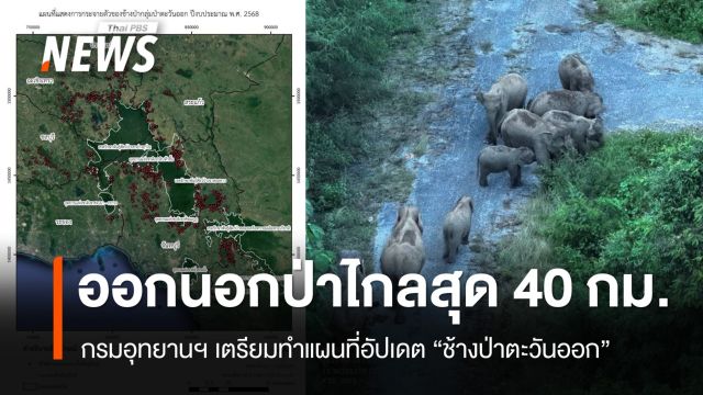 เล็งทำแผนที่อัปเดต "ช้างป่าตะวันออก" พบออกนอกป่าไกลสุด 40 กม.