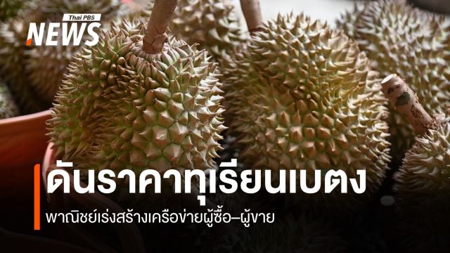 ดันราคาทุเรียนเบตง พาณิชย์เร่งสร้างเครือข่ายผู้ซื้อ–ผู้ขาย