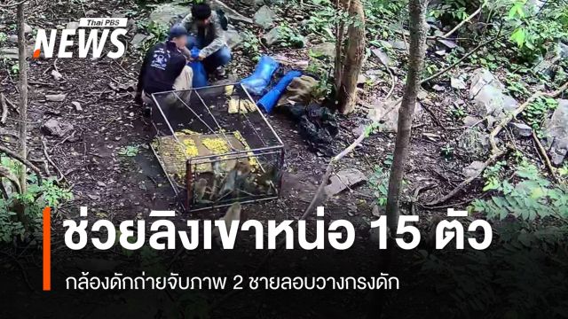 ช่วย "ลิงเขาหน่อ" 15 ตัว หลังกล้องดักถ่ายจับภาพชายลอบล่า 