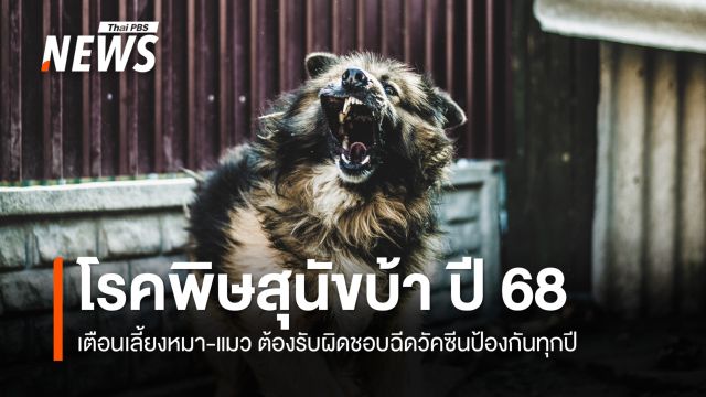 ปี 2568 ไทยพบ "โรคพิษสุนัขบ้า" ในสัตว์แล้ว 204 ตัว 