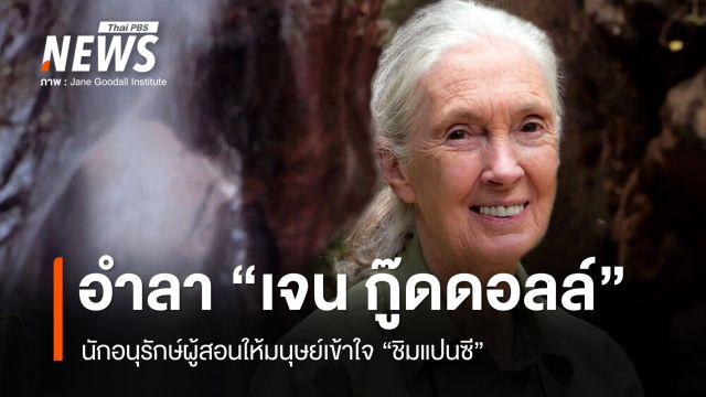อำลานักอนุรักษ์ "เจน กู๊ดดอลล์" ผู้หญิงที่สอนให้มนุษย์เข้าใจ "ชิมแปนซี"