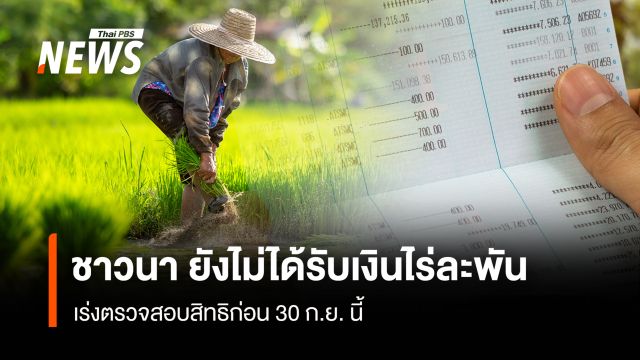 ชาวนา ยังไม่ได้รับเงินไร่ละพัน เร่งตรวจสอบสิทธิก่อน 30 ก.ย.