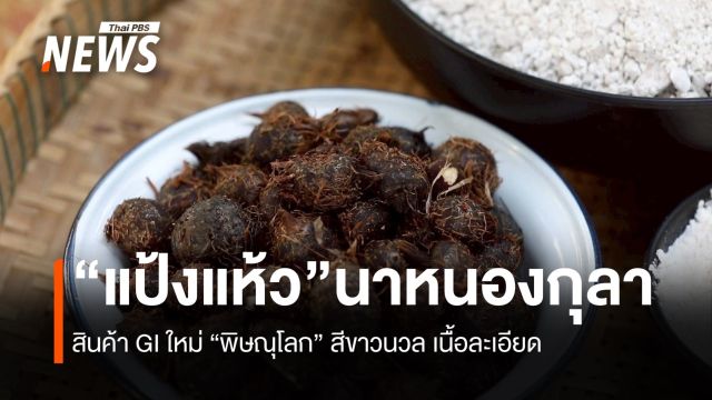 “แป้งแห้ว” นาหนองกุลาพิษณุโลก  สินค้าGI ใหม่ เนื้อนวลละเอียด