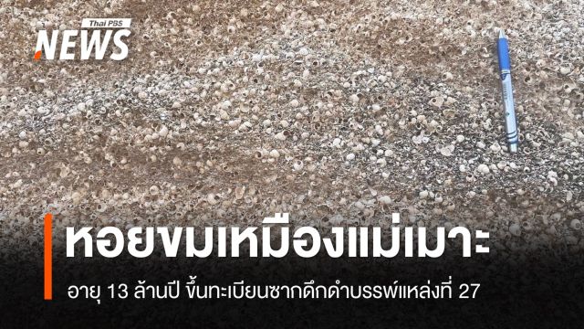 ทส.ขึ้นทะเบียนซากดึกดำบรรพ์ "หอยขมเหมืองแม่เมาะ" อายุ 13 ล้านปี