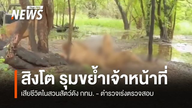 สิงโตรุมขย้ำ จนท.เสียชีวิต ในสวนสัตว์ดัง กทม. 
