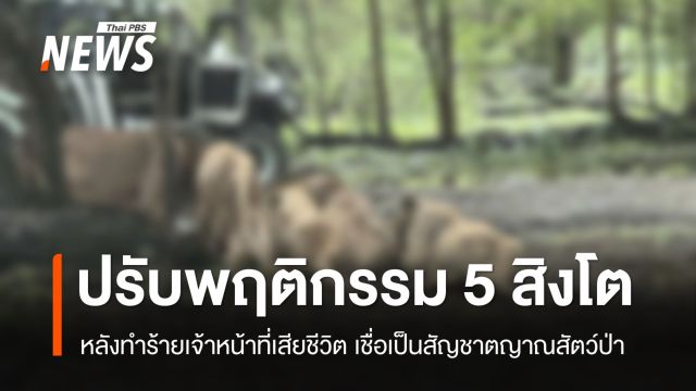 กรมอุทยานฯ สั่งกัก-ปรับพฤติกรรม “5 สิงโต” ทำร้าย จนท.เสียชีวิต